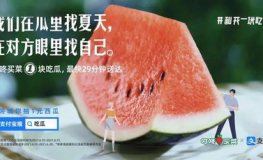 啵啵娱乐吃瓜,揭秘娱乐圈吃瓜背后的真相与笑料